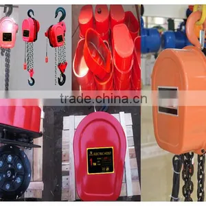 Hot Selling Excellent Service High Quality Dhs Series 10t Electric Chain Block thumbnail-2