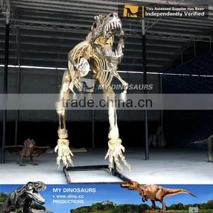 MY Dino-O08 Life Size Fiberglass Dinosaur Skeleton Decoration thumbnail-5