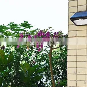 Best Price Solar Motion Sensor Wall Lamp Powerful Solar Motion Sensor Light, Solar Wall Lights, Solar Security Light thumbnail-6