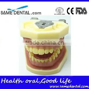 Dental Eduction Assitant No. DEA-06 thumbnail-1