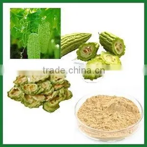 Bitter Melon Extract 25:1 thumbnail-1