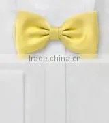 Fashion Bow Ties Neckties and Skinny Ties thumbnail-1