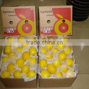 Fresh Citrus Fruit China Yellow Eureka Fresh Lemon thumbnail-2