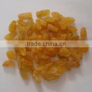Raisin thumbnail-1
