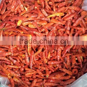 Stemless Dried Chilli thumbnail-1
