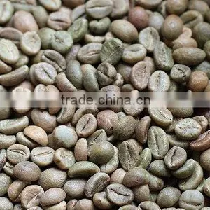 WET POLISHED ROBUSTA GREEN COFFEE BEANS GRADE 1 SCREEN 18 thumbnail-4