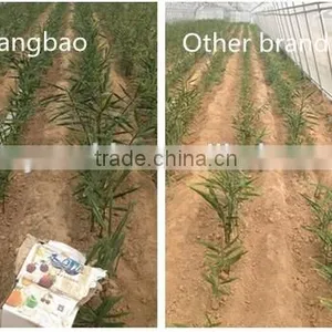 Excellent Liquid Fertilizer Manufacturer in China thumbnail-6