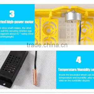 HHD EW-96 High Quality Chicken Full Automatic Digital Egg Incubator for 96 Eggs for Sale 98% Hatching Rate thumbnail-5