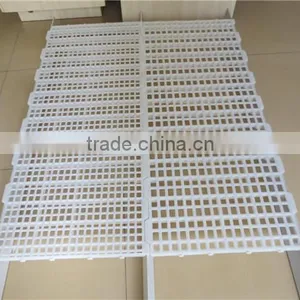 Poulty Plastic Drain Dung Floor for Farming Broiler Chicken House thumbnail-6