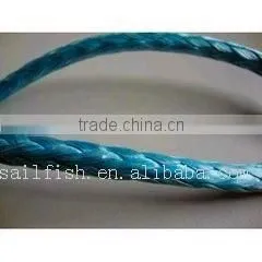 High Quality 12 Strand Uhmwpe Winch Rope With Hook thumbnail-1