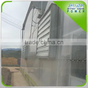 Hydroponics Strawberry Film Greenhouse thumbnail-2