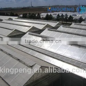 Multi Span PC Sheet Greenhouse thumbnail-3