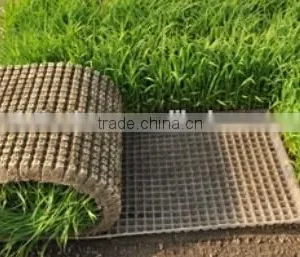 Plastic Rice Seed Growing Tray / Rice Seedling Tray/ Paddy Nursery Tray thumbnail-4