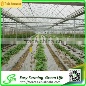 Used Galanized Steel Pipe Greenhouse for Sale thumbnail-3