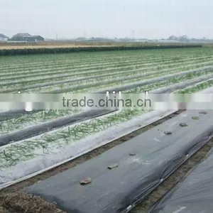 Plastic Plant:Agricultural Film Machinery thumbnail-1