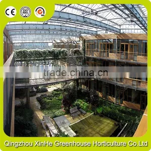 Cheapest Hot Sale Agricultural/Commercial Plastic Greenhouse thumbnail-5