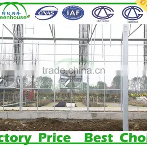 Commercial Greenhouse Supplier for Polycarbonate Sheet thumbnail-4