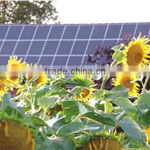 Bestsun High Quality 5000w Solar Powered Led Panel Simple Fashion Products thumbnail-4