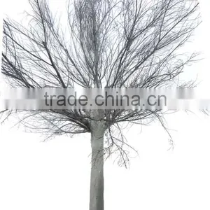 GNW WTR1103 High Winter Tree Outdoor Indoor Stage Wedding Decorative Tree thumbnail-3