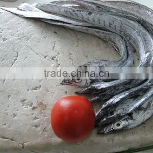 Best Price Frozen Surimi thumbnail-3