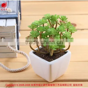 Artificial Succulent Plants Mini Artificial Plants Potted Artificial Mini Succulent Plants thumbnail-3