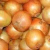 Fresh Yellow Onion thumbnail-1