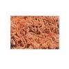 Aquatic Products (5) thumbnail-1