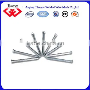 Stainless Steel Nails Manufacturer(15 Years Export Experience) thumbnail-1