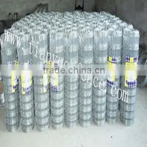 Hot Sale Welded Wire Mesh Fence thumbnail-4