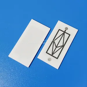 Long Life Ceramic Ozone Plates Ozone Disinfection Air Purifier Ozone Generator Ceramic Plate thumbnail-1