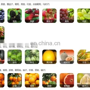 Fruit Vegetable Belt Juice Processing Machine thumbnail-5