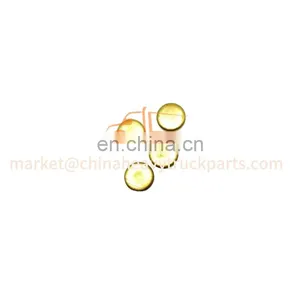 Foton Auman/Aumark/Miler/Land Pioneer Weichai Engine Gearbox Zf/Fast Truck Spare Parts 90003989294 Bowl Shaped Plug thumbnail-2