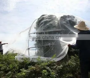 Insect Net thumbnail-1