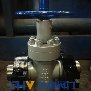 High Pressure Flange Flat Gate Valve Z43Y Cang Hai Valve thumbnail-5