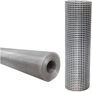 Stainless Steel Welded Wire Mesh Hot Dipped Electro Galvanized Welded Wire Mesh Pvc Coated Welded Wire Mesh thumbnail-1
