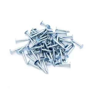 25kg Paper Carton Galvanized Roofing Clout Nails - Ready for OEM Branding thumbnail-2