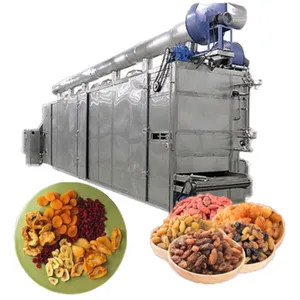 Candied Fruit Vegetable Processing Line Candied Prune Apricot Peach Kumquat Making Machine thumbnail-6