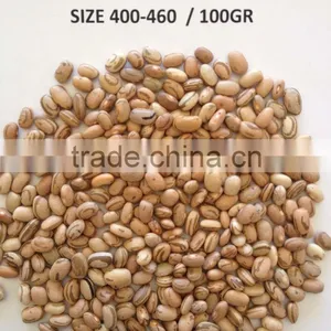 Carioca Beans thumbnail-1