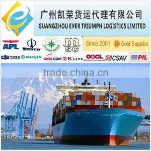 DDU/DDP Shipping,Sea Freight From China to Malaysia thumbnail-1