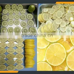 New Style Best Quality of Onion Tomato Slice Cutting Machine thumbnail-4