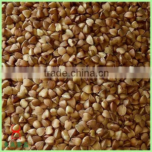Common Cultivation Type Brown Color Roasted Buckwheat Wholesale thumbnail-1