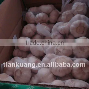 China Cheap Garlic thumbnail-1
