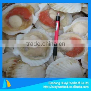 Scallop Seafood thumbnail-1