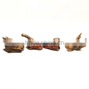Dinosaur Skull Fossil Pencil Topper thumbnail-2