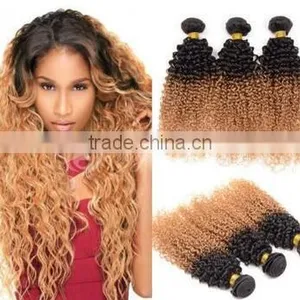 High Quality Heat Resistant Fibre Two Toned Afro Curly Hair thumbnail-1