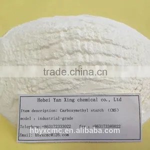 Paint Industry, CMS as a Suspending Agent, Stabilizer, Coating Film Formers thumbnail-3