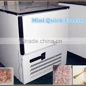 Mini Blast Freezer for Quick Freezing and Blast Freezing thumbnail-1