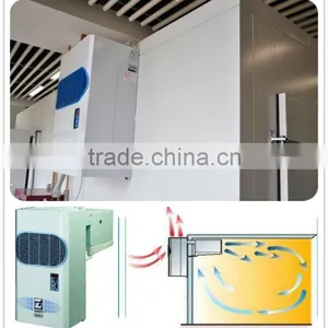 Wall Mounted Monoblock Condensing Unit for Cold Storage Room thumbnail-1