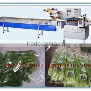 Multi-Function Automatic Vegetable and Fruit Packing/ Wrapping Machine/Horizontal Flow Packaging Machine thumbnail-1