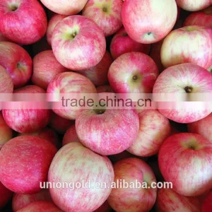 Chinese Fuji Fresh Red Apple thumbnail-4